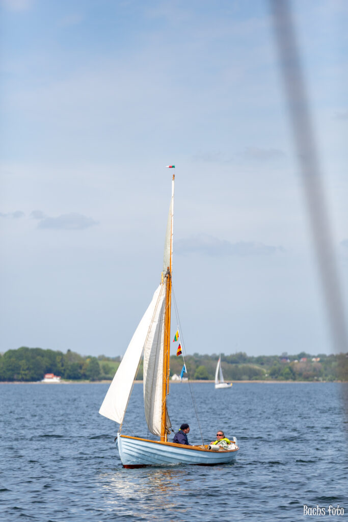 Romregatta-deltagere. Bachs FOTO