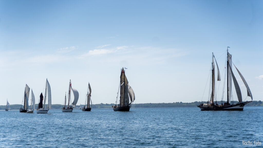 Romregatta-deltagere. Bachs FOTO