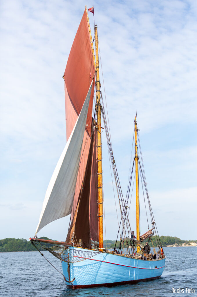 Romregatta-deltagere. Bachs FOTO