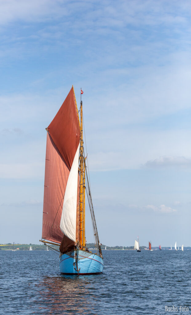 Romregatta-deltagere. Bachs FOTO