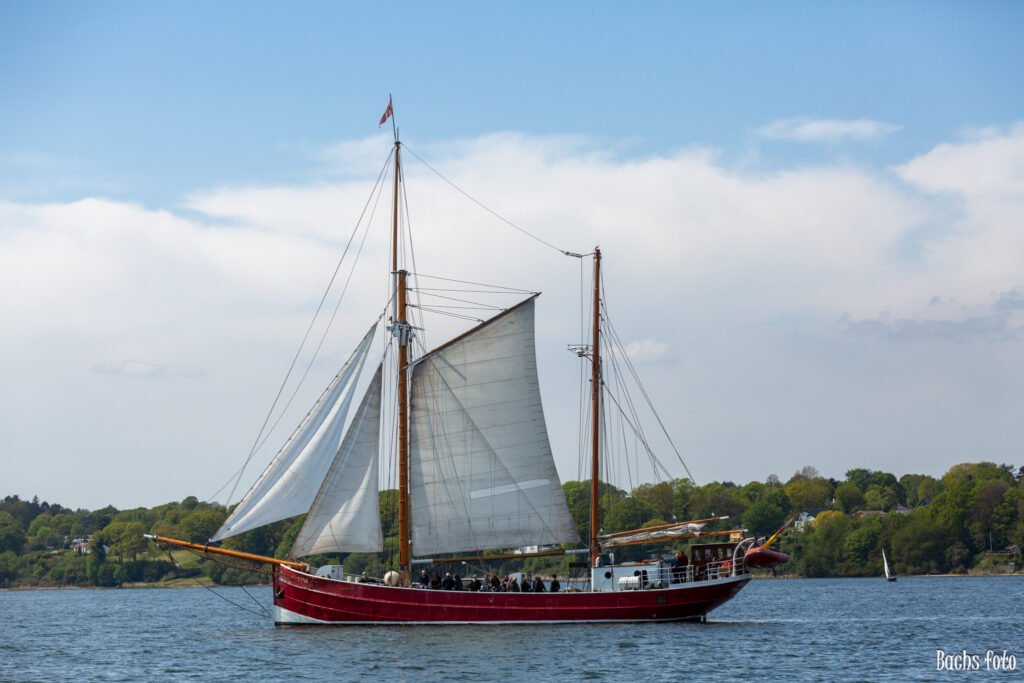 Romregatta-deltagere. Bachs FOTO