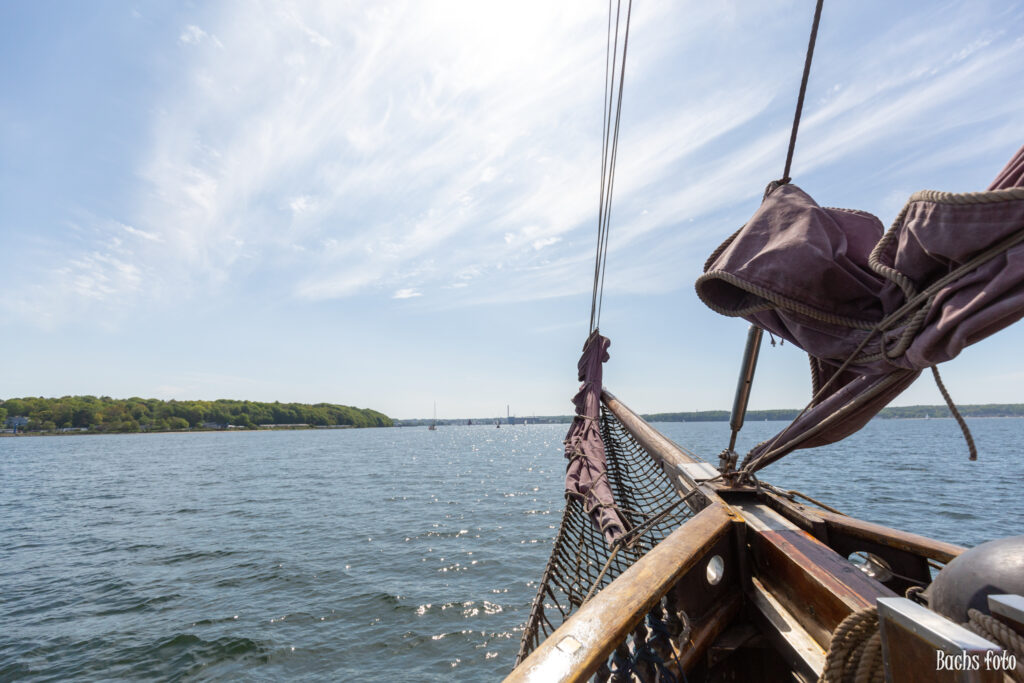 Romregatta-deltagere. Bachs FOTO