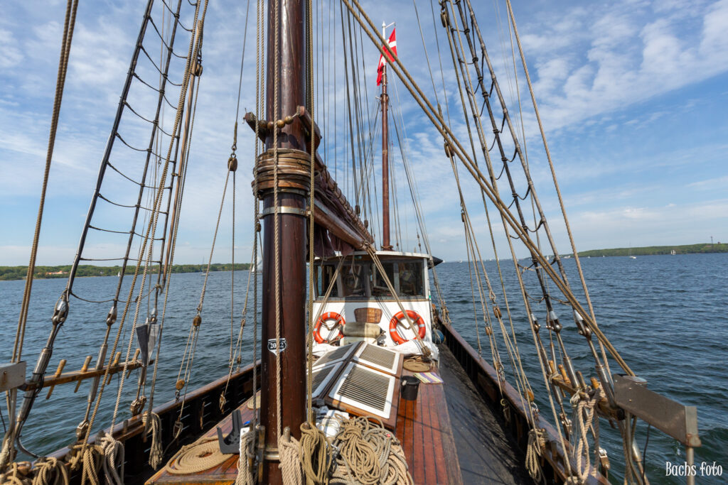 Romregatta-deltagere. Bachs FOTO