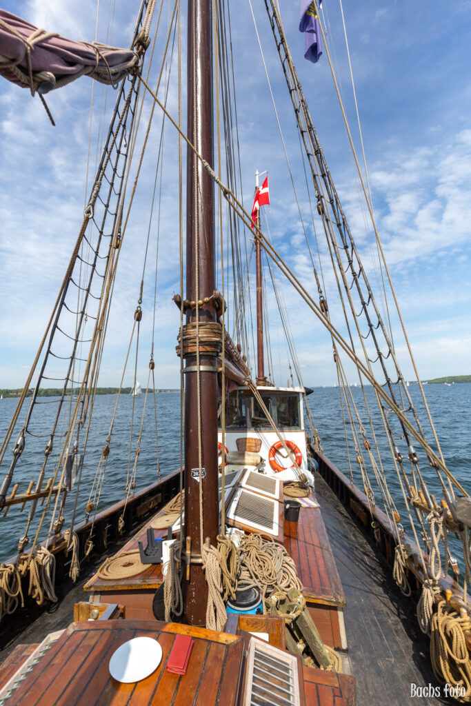 Romregatta-deltagere. Bachs FOTO