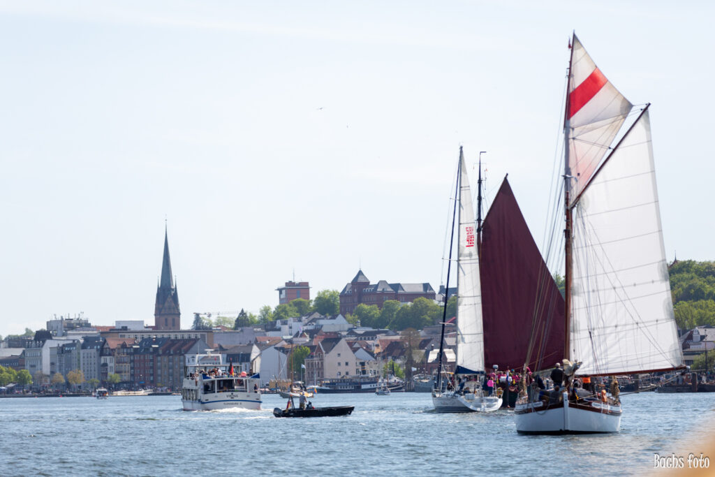 Romregatta-deltagere. Bachs FOTO