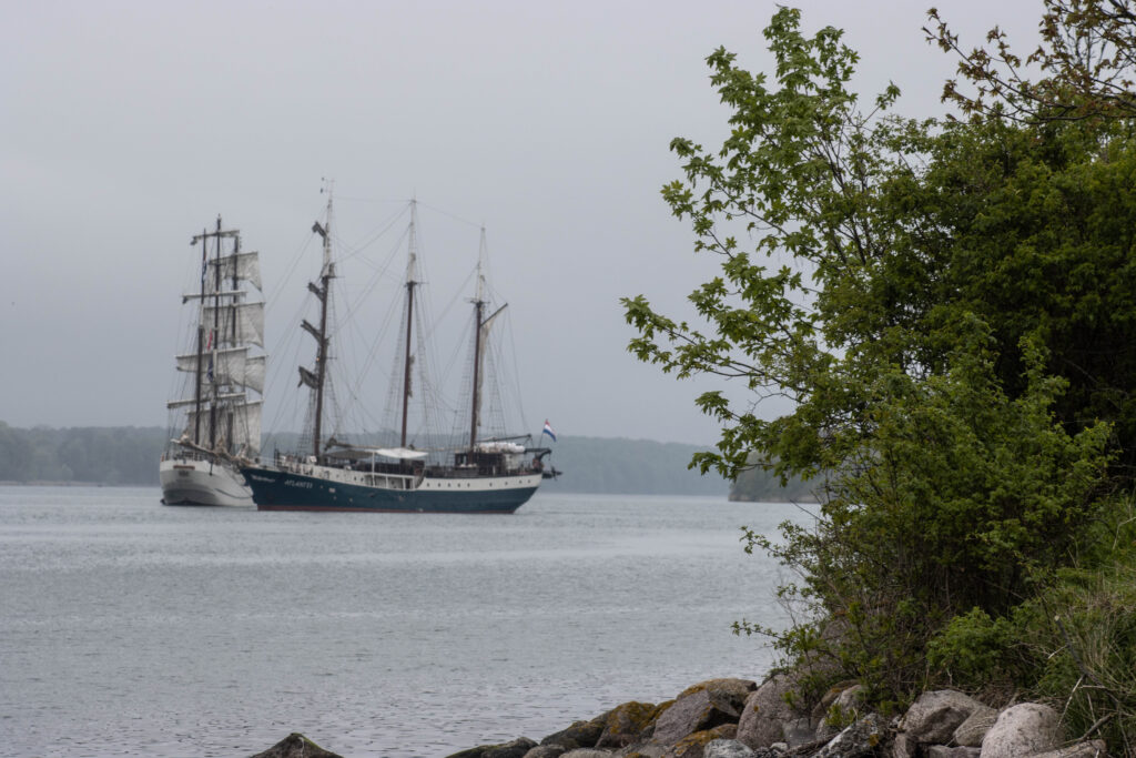 Artemis. Foto: Ole Kæhler