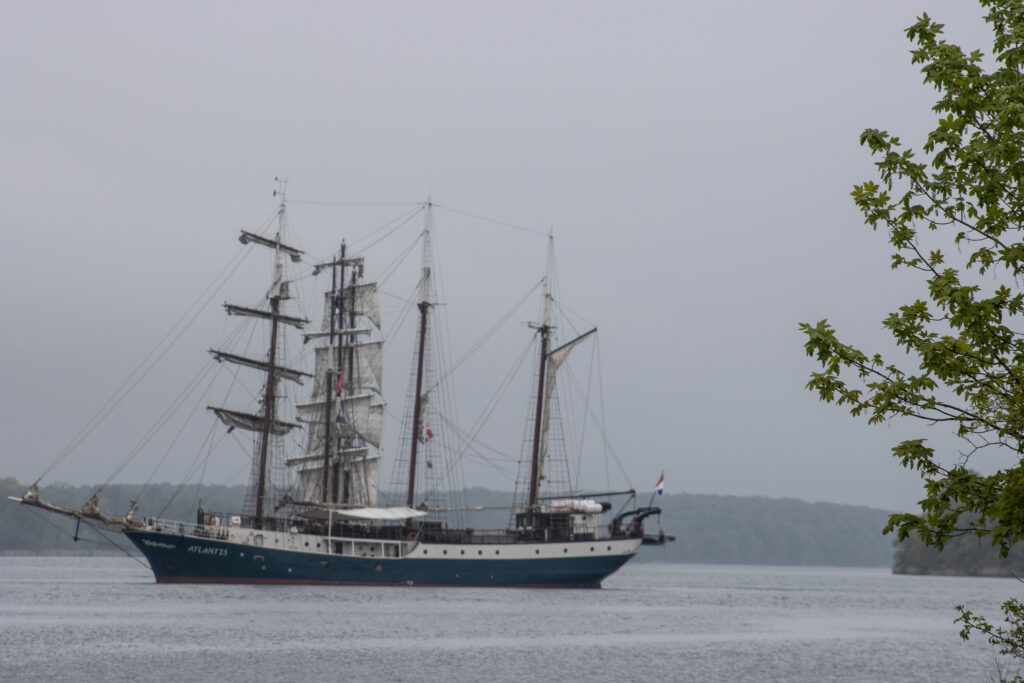 Artemis. Foto: Ole Kæhler