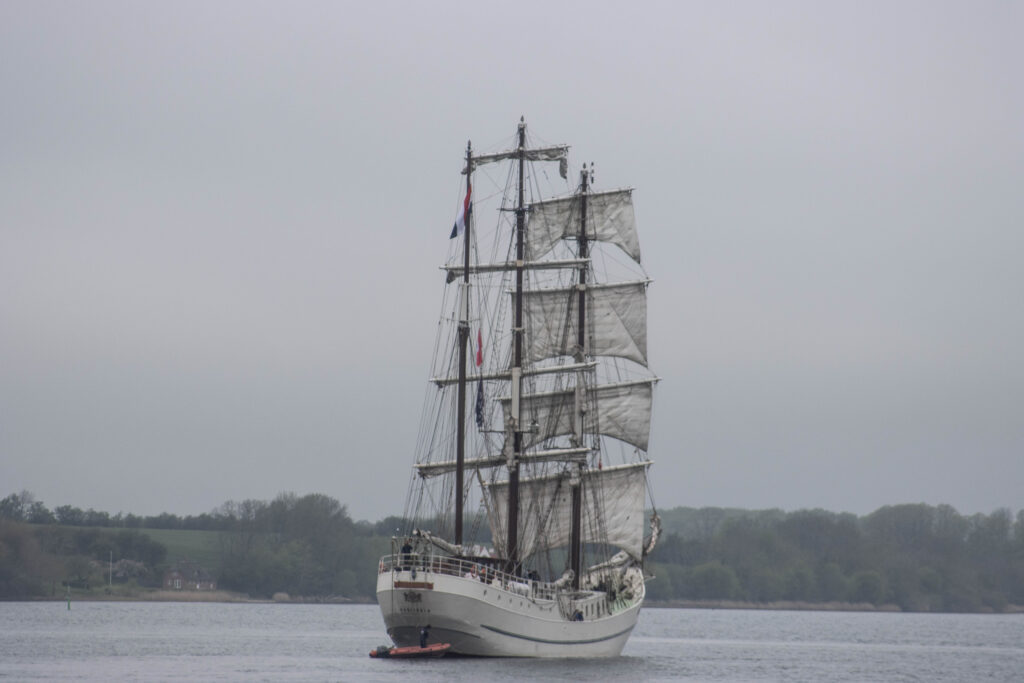 Artemis. Foto: Ole Kæhler