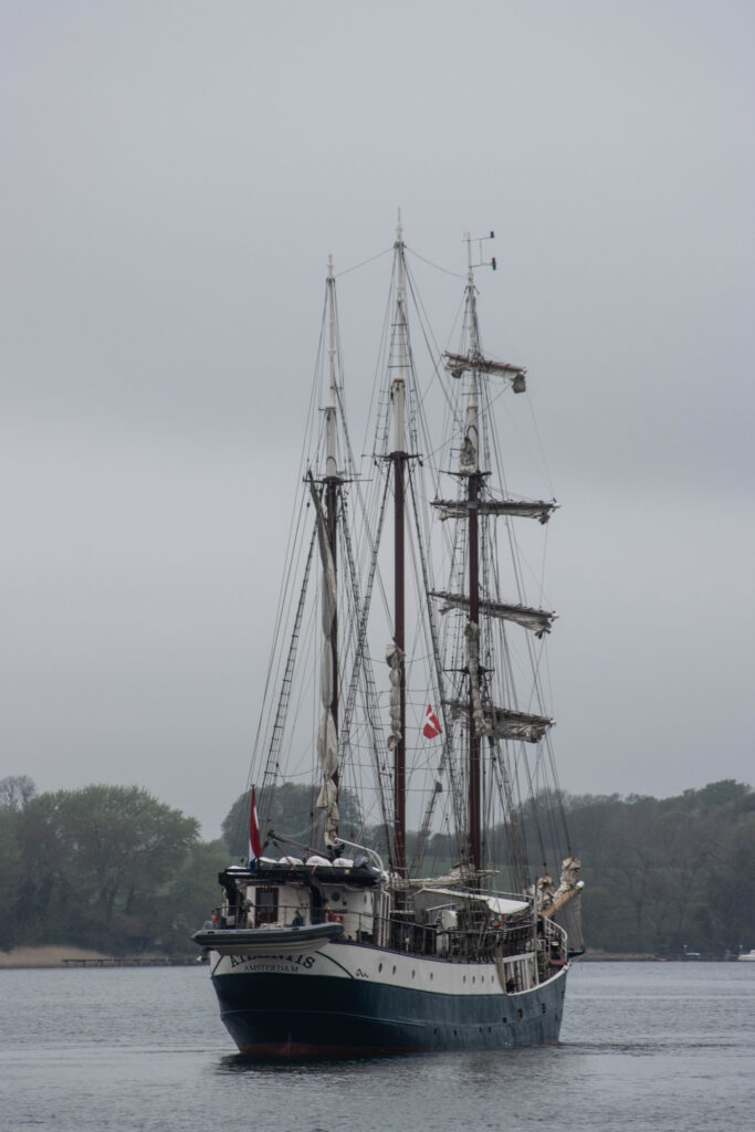 Artemis. Foto: Ole Kæhler