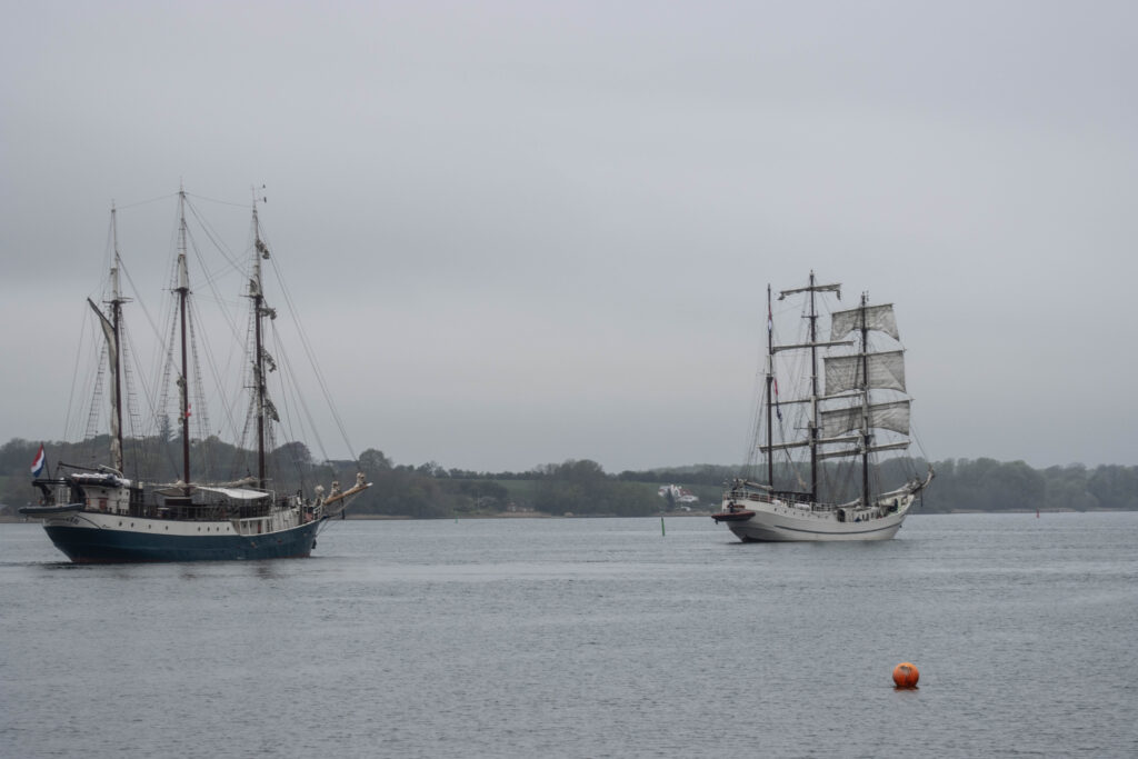 Artemis. Foto: Ole Kæhler