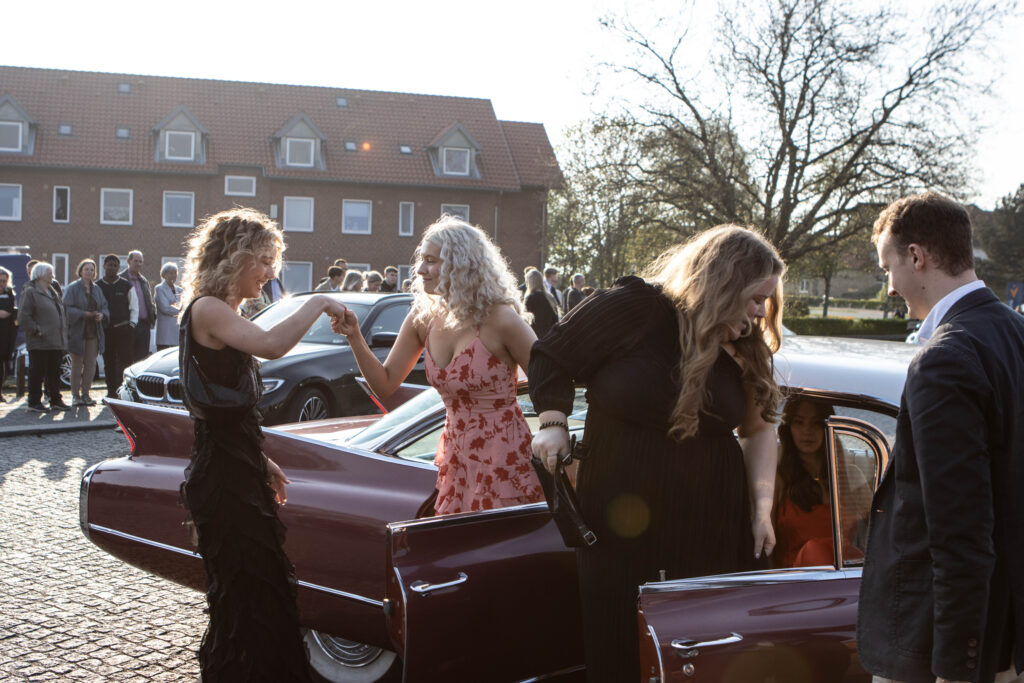 Blå Galla. Foto: Ole Kæhler