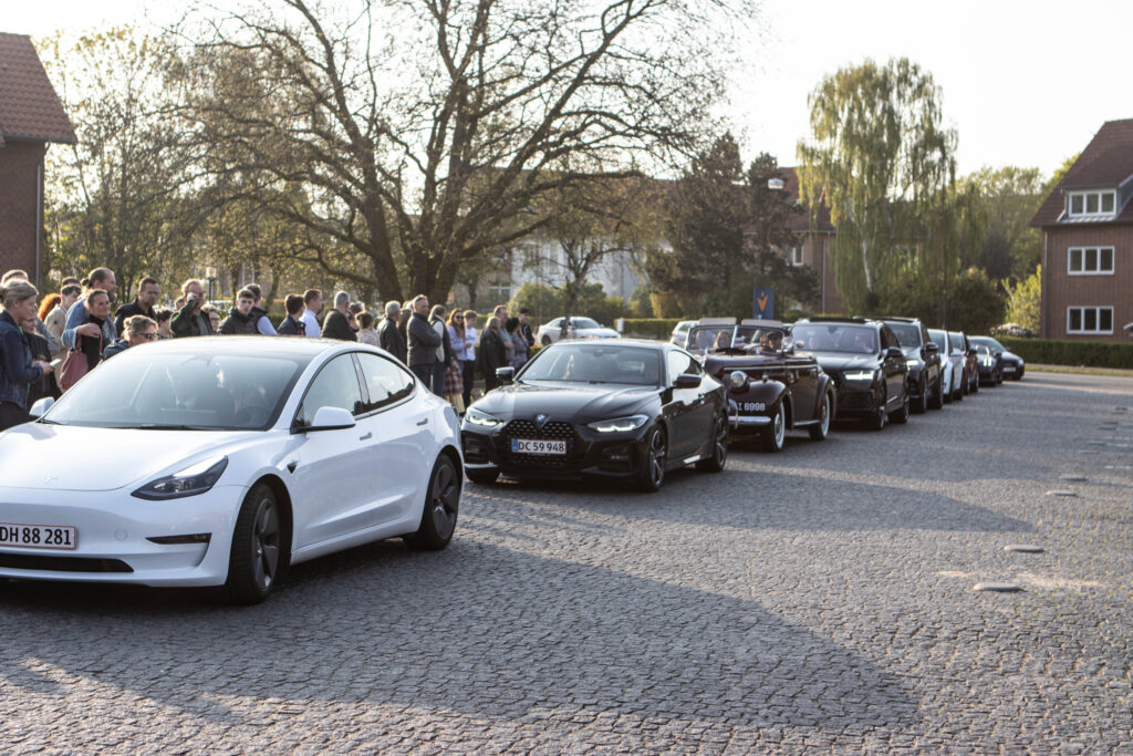 Blå Galla. Foto: Ole Kæhler