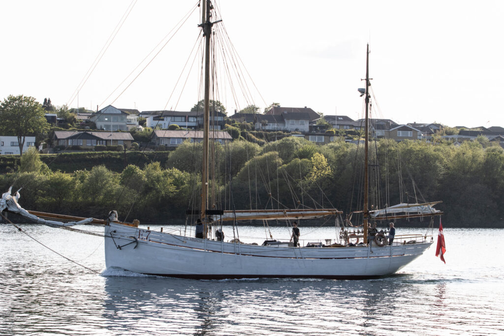 Romregatta. Foto: Bach & Kæhler