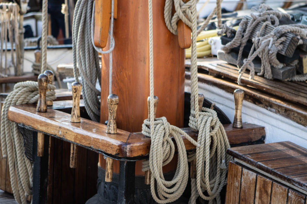 Romregatta. Foto: Bach & Kæhler