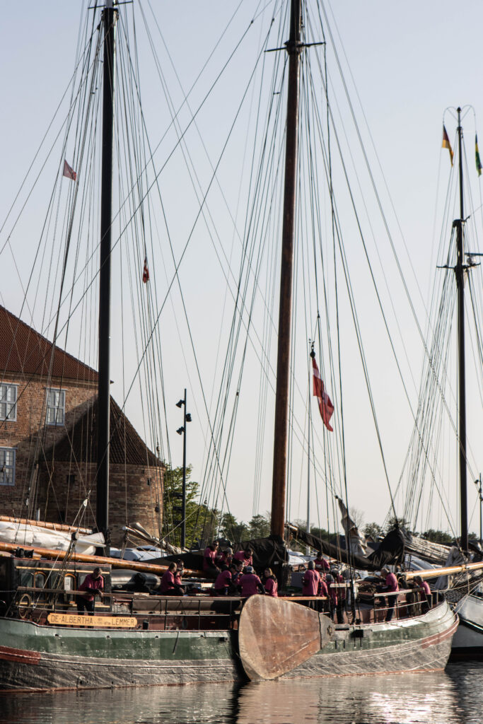 Romregatta. Foto: Bach & Kæhler