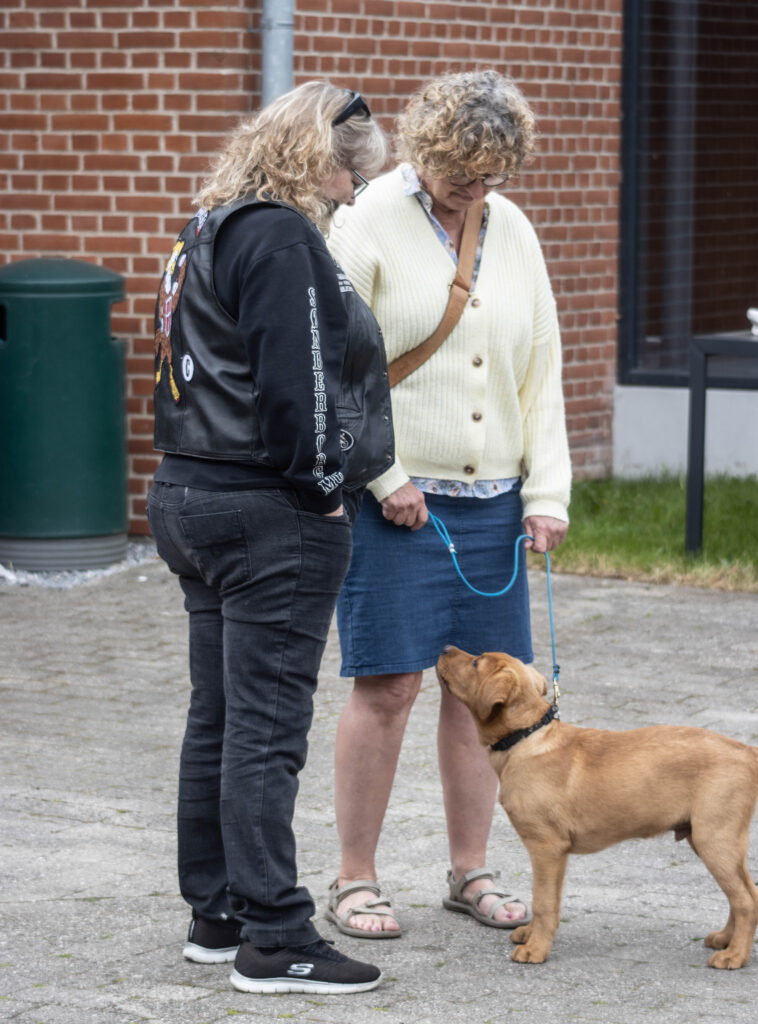 Kubik & kaffe. Foto: Ole Kæhler