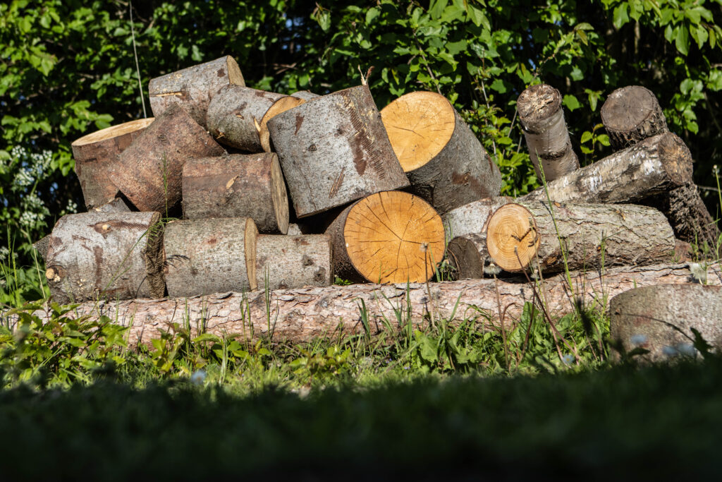 Kær Vestermark. Foto: Ole Kæhler