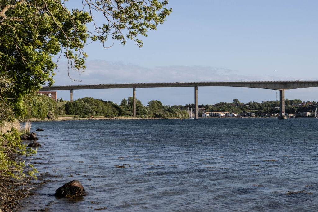 Kær Vestermark. Foto: Ole Kæhler