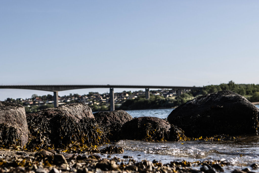 Kær Vestermark. Foto: Ole Kæhler