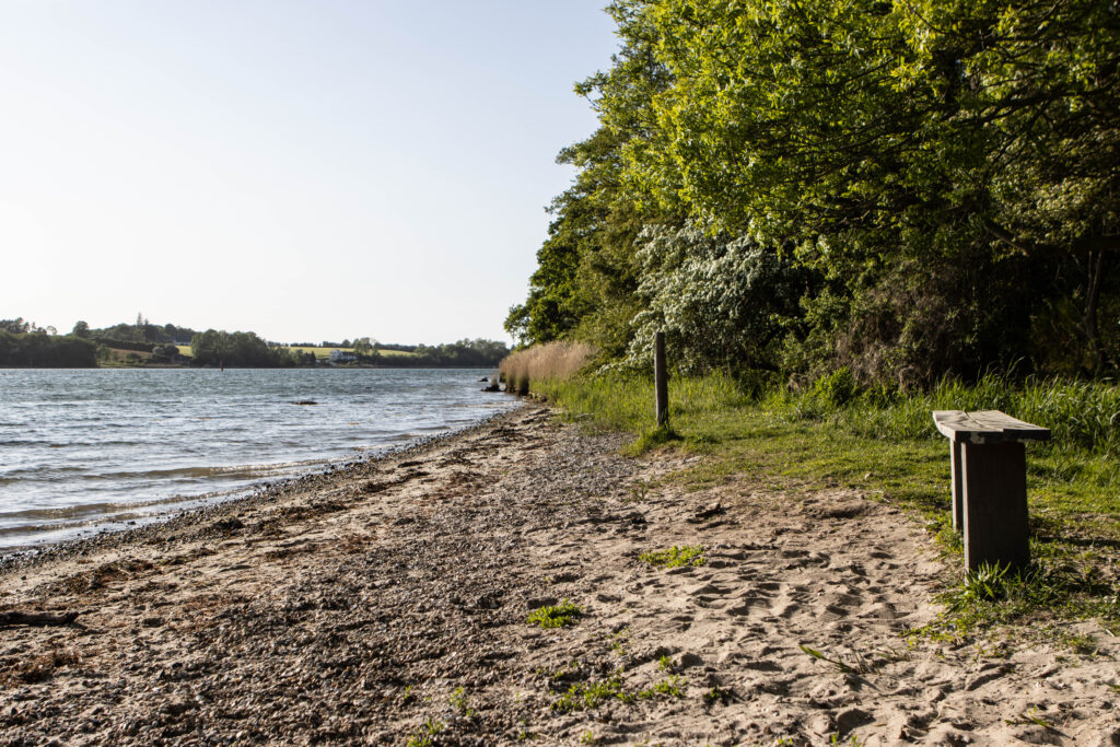 Kær Vestermark. Foto: Ole Kæhler