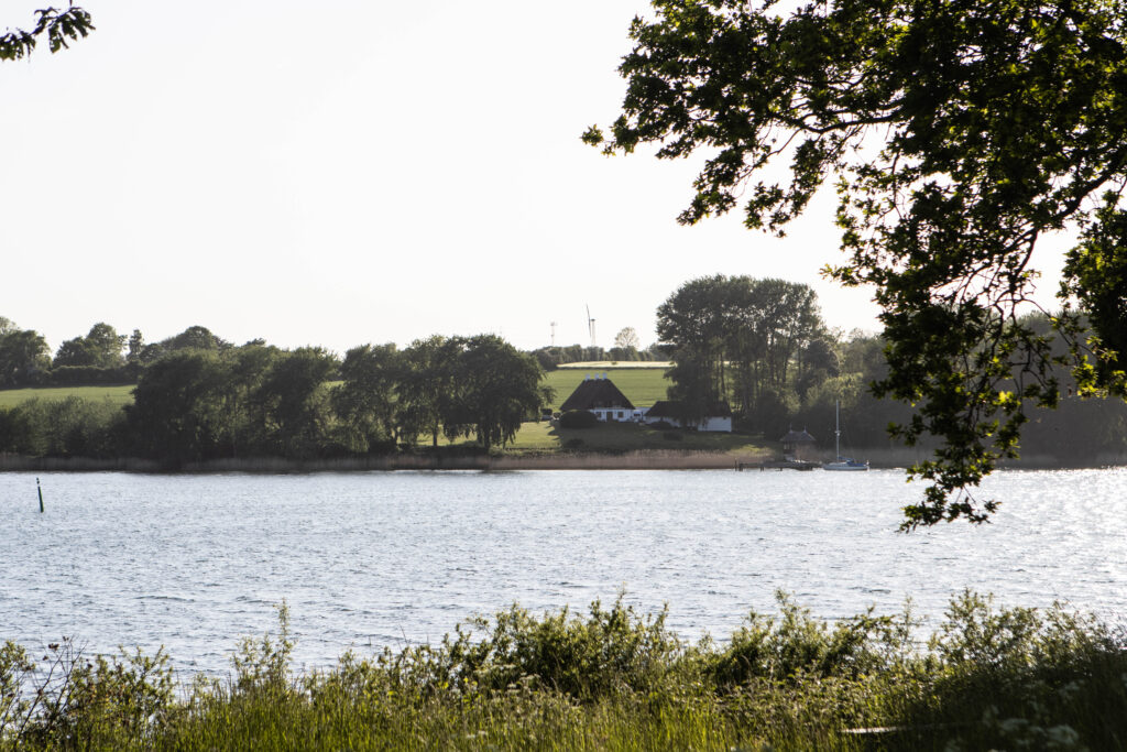 Kær Vestermark. Foto: Ole Kæhler