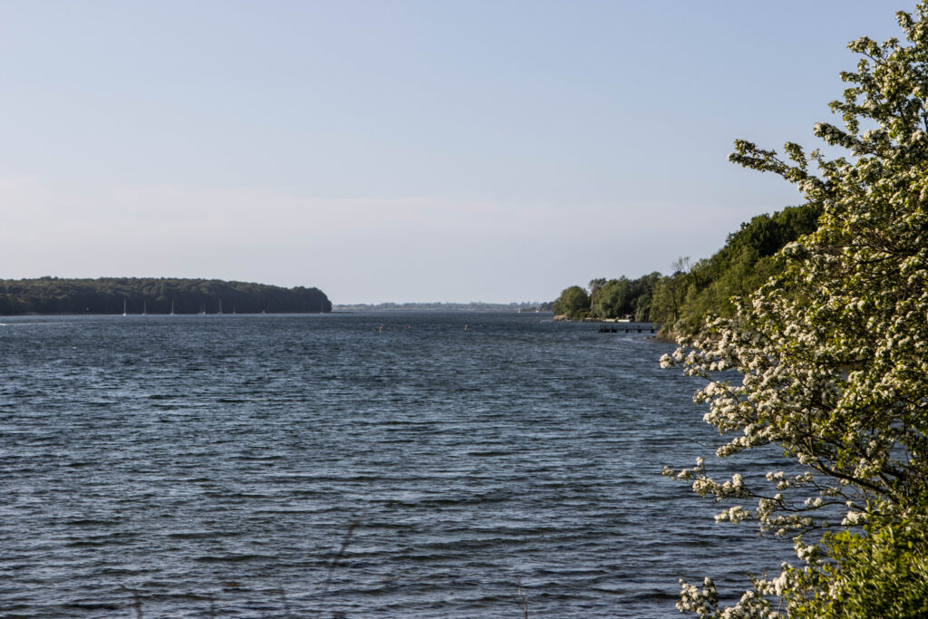 Kær Vestermark. Foto: Ole Kæhler