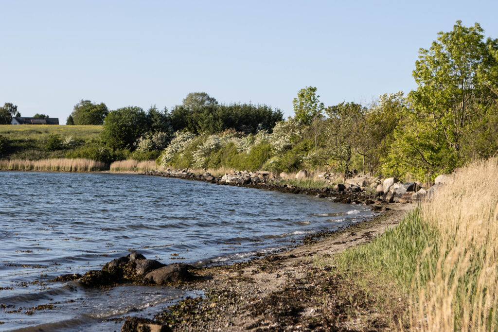 Kær Vestermark. Foto: Ole Kæhler