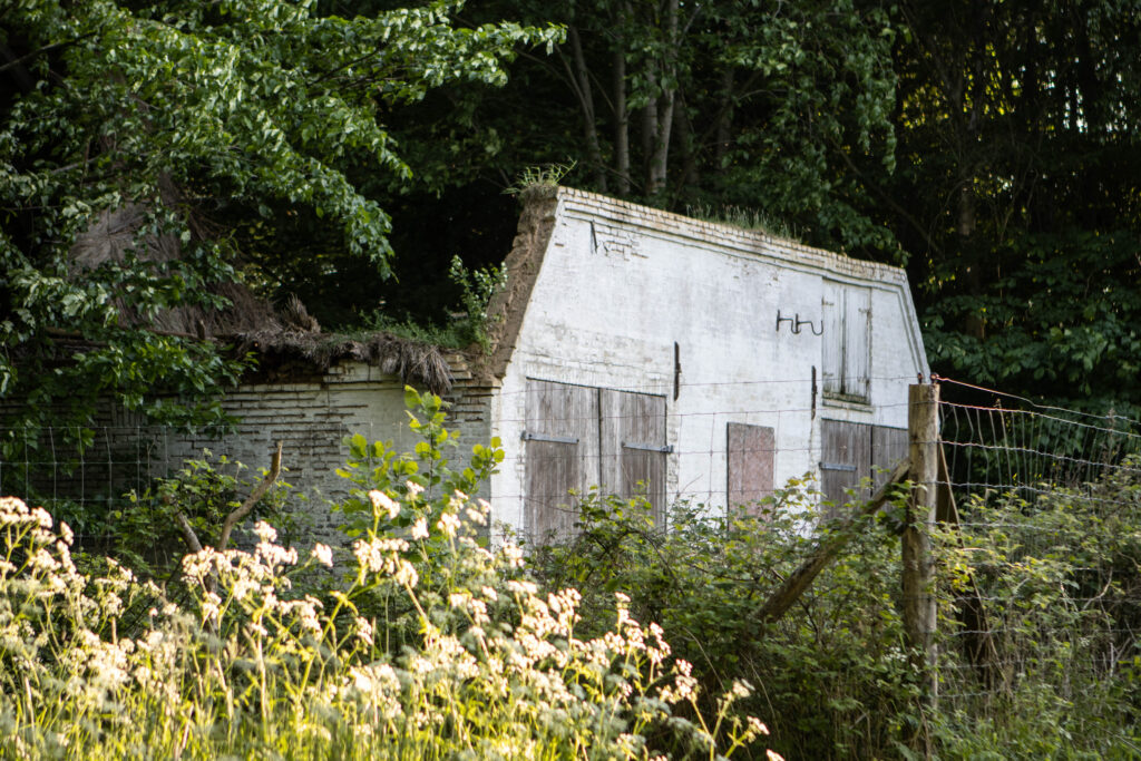 Kær Vestermark. Foto: Ole Kæhler