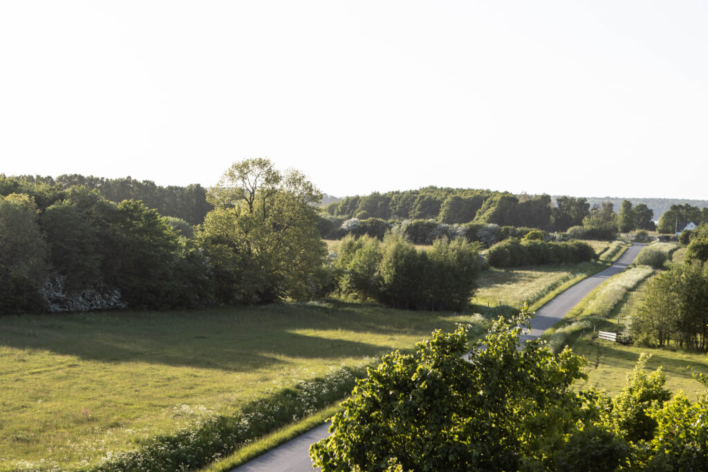 Kær Vestermark. Foto: Ole Kæhler