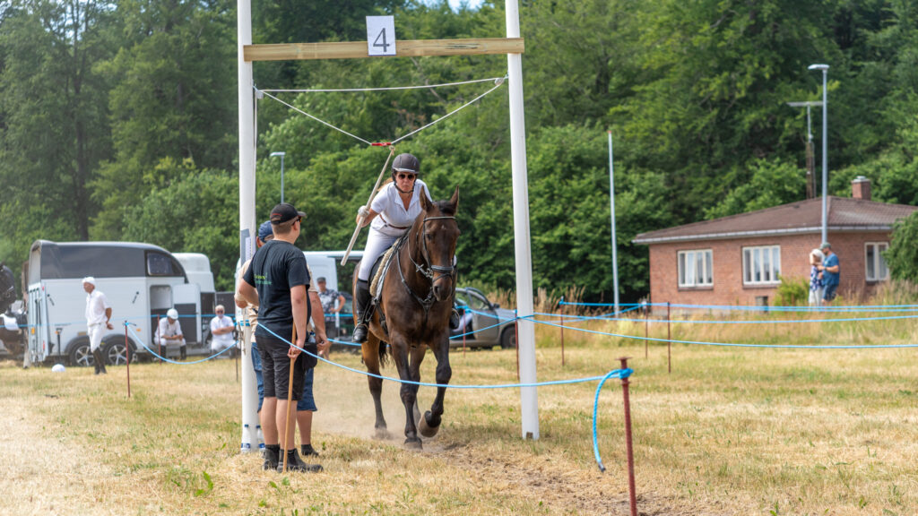 Ringridning. Bachs FOTO