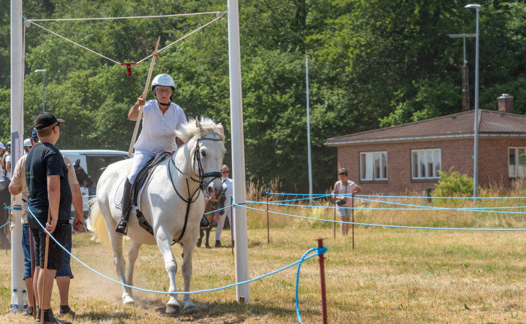 Ringridning. Bachs FOTO
