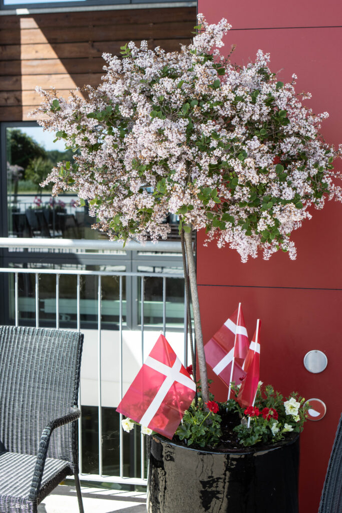 Amaliehaven. Foto: Ole Kæhler