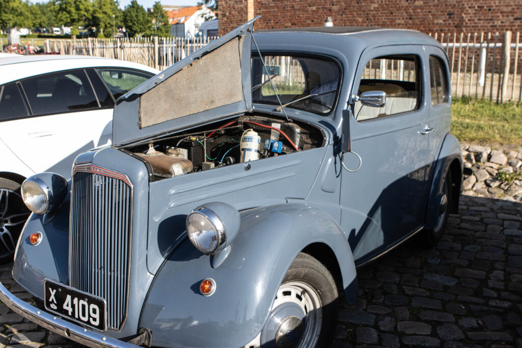 Veteraner. Foto: Ole Kæhler