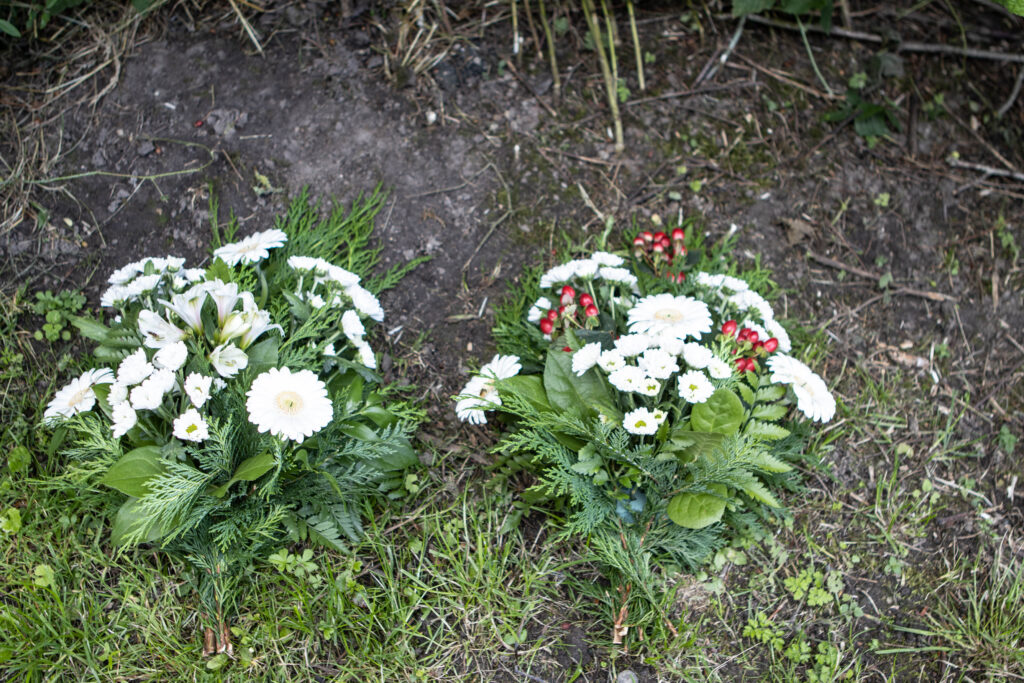 Arnkilsmaj. Foto: Ole Kæhler
