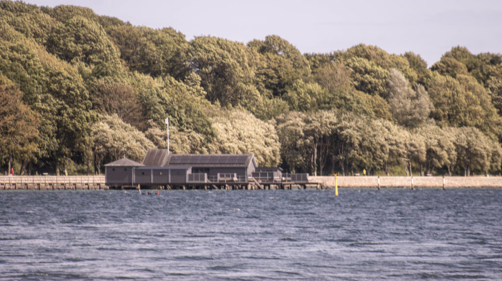 Vandkant. Foto: Ole Kæhler
