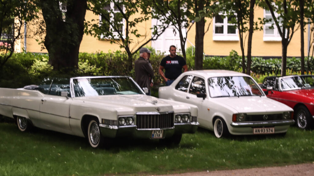 Parkunderholdning. Foto: Ole Kæhler