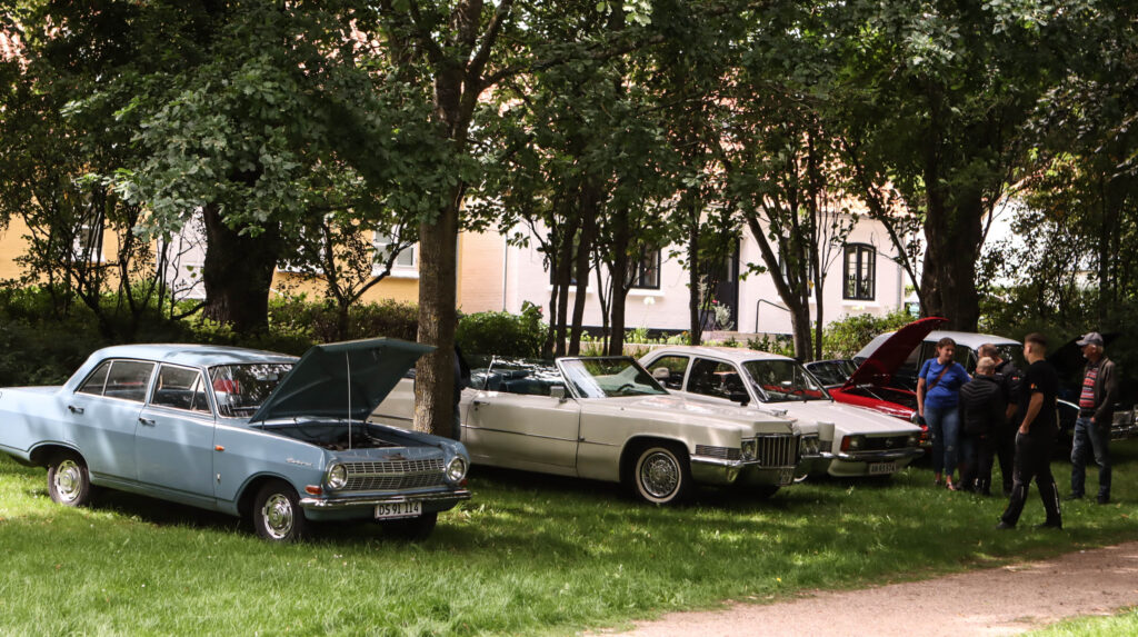Parkunderholdning. Foto: Ole Kæhler