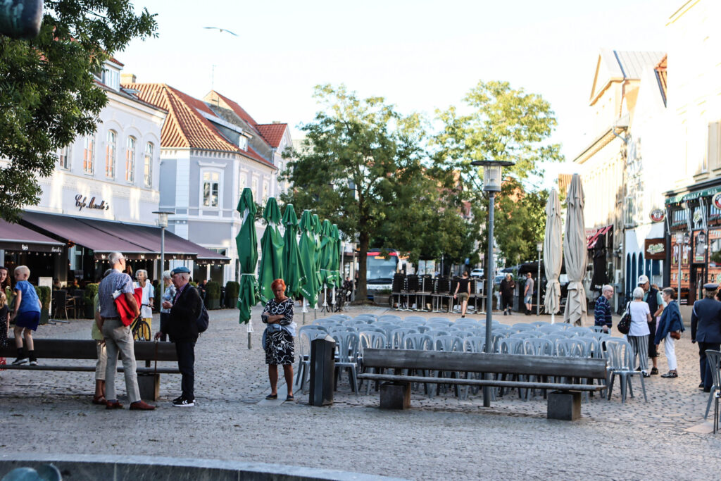 Flagdagen. Foto: Ole Kæhler