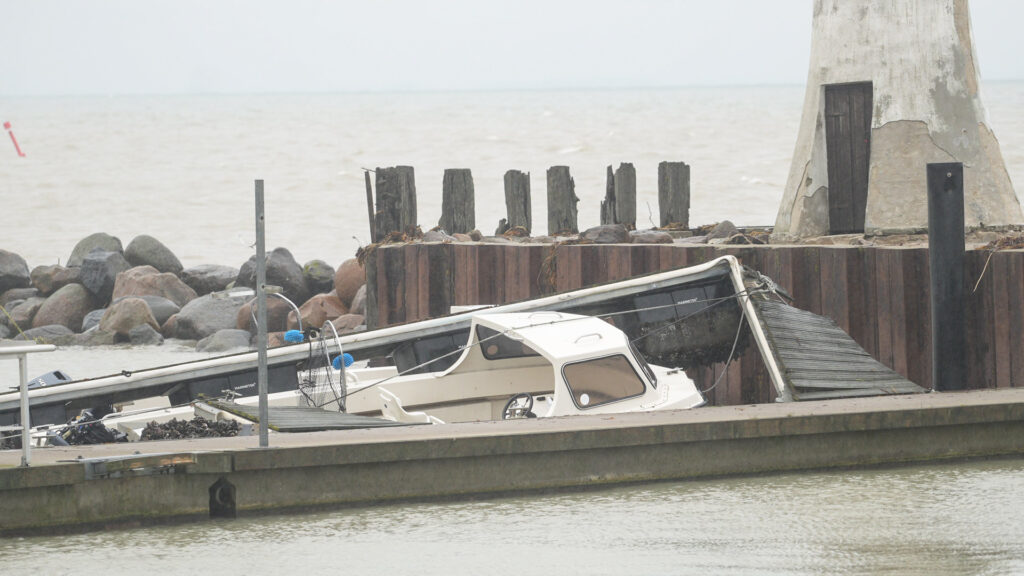 Mommark Marina. Bachs FOTO