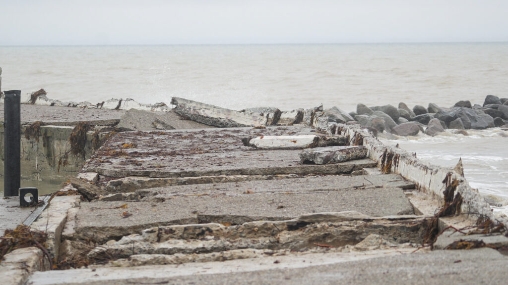 Mommark Marina. Bachs FOTO