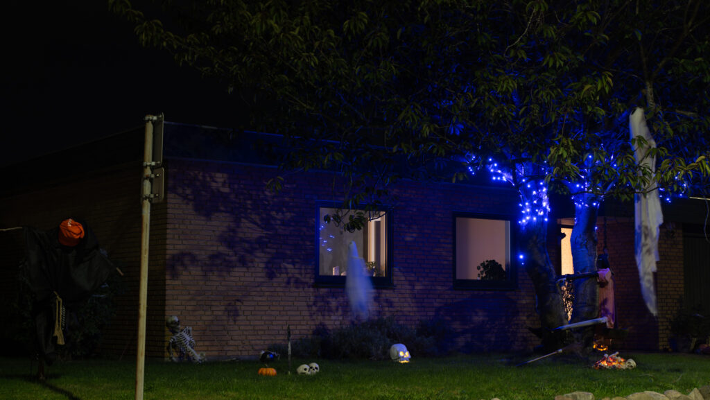 Halloween. Bachs FOTO