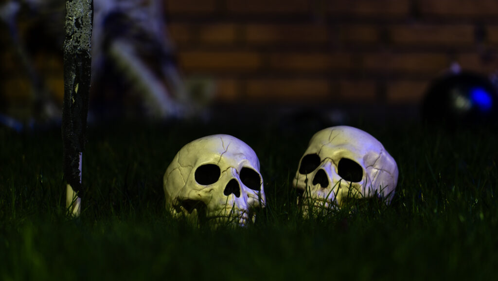 Halloween. Bachs FOTO