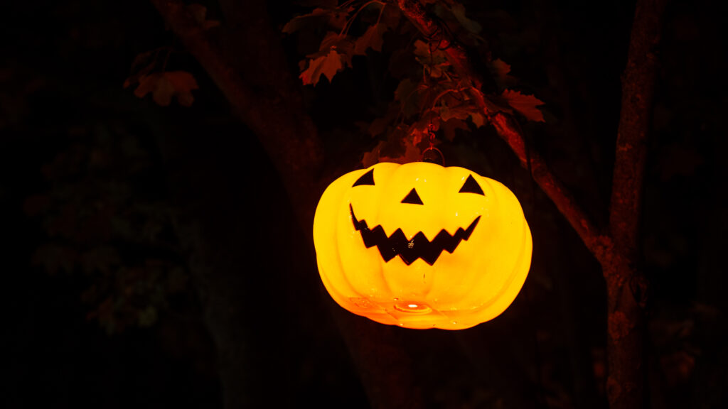 Halloween. Bachs FOTO