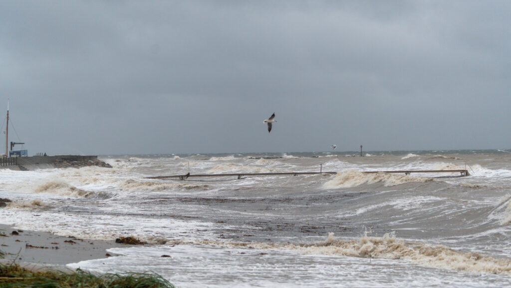 Stormflod: Bachs FOTO & Ole Kæhler