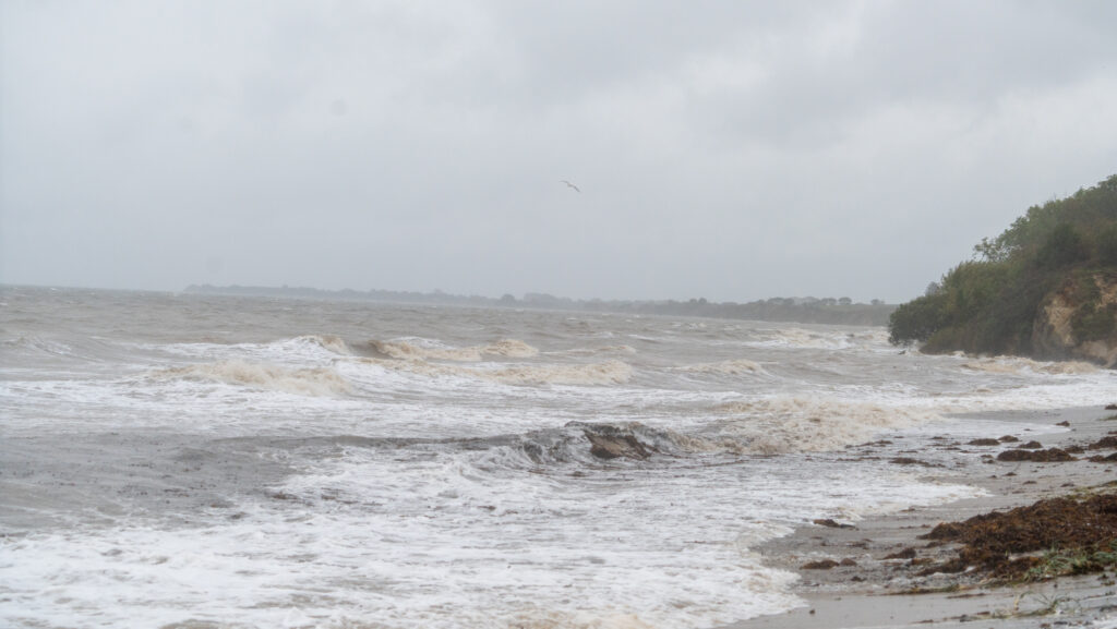 Stormflod: Bachs FOTO & Ole Kæhler