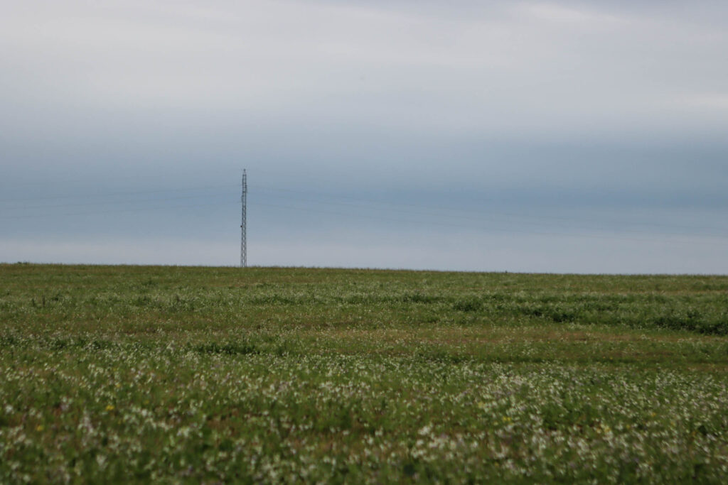 Bavnebål. Foto: Ole Kæhler