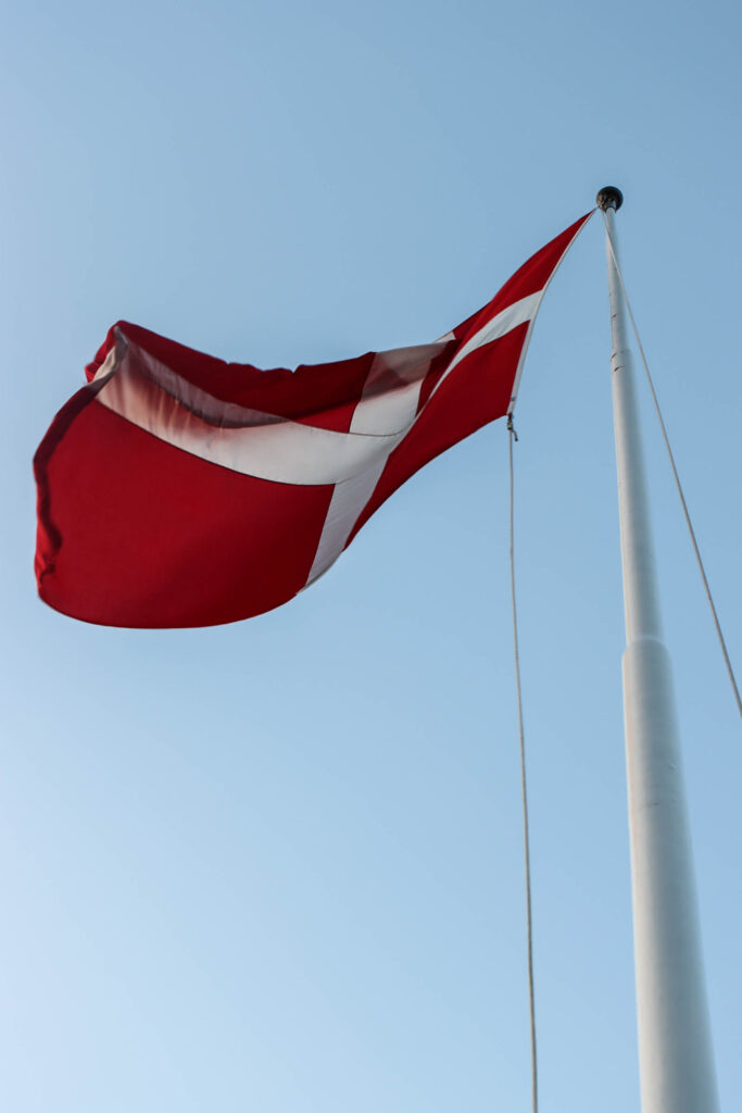 Flager for prinsen. Foto: Ole Kæhler