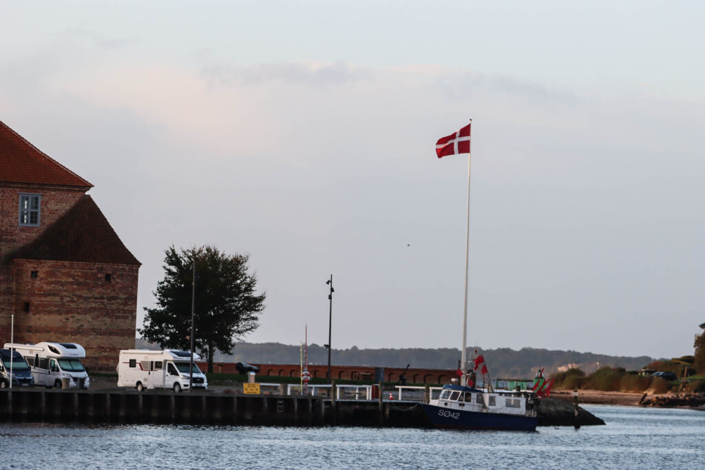 Flager for prinsen. Foto: Ole Kæhler