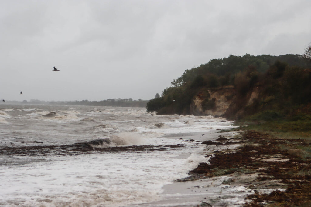 Stormflod: Bachs FOTO & Ole Kæhler