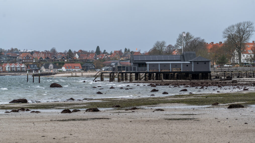 Lavvande. BACHS FOTO